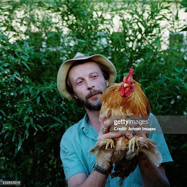 man holding rooster - rooster stock pictures, royalty-free photos & images