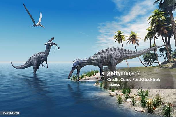 a large fish is caught by a suchomimus dinosaur while a flying pterosaur dinosaur watches for scraps to eat. - estuary stock illustrations