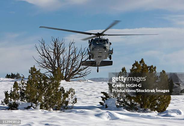 Rqs Photos and Premium High Res Pictures - Getty Images