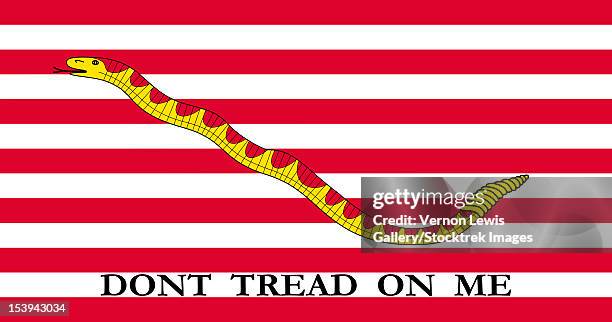 the first navy jack authorized by the u.s. navy. - s motive gallery stock illustrations