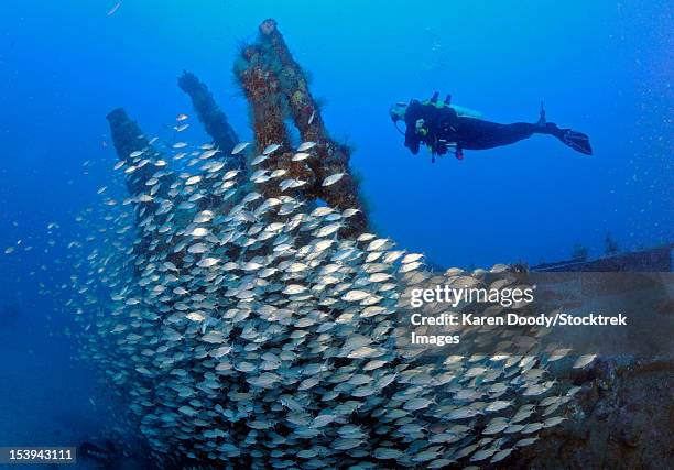 U171 1,427 Submarine Wreck Stock Photos, High-Res Pictures, and Images ...
