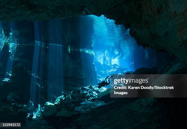 diver enters the cavern system at chac mool cenote in the riviera maya area of mexico's yucatan peninsula. - cenote mexico stock pictures, royalty-free photos & images