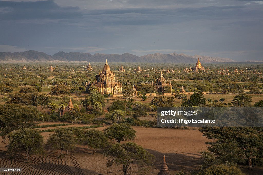 Bagan's temples landscape