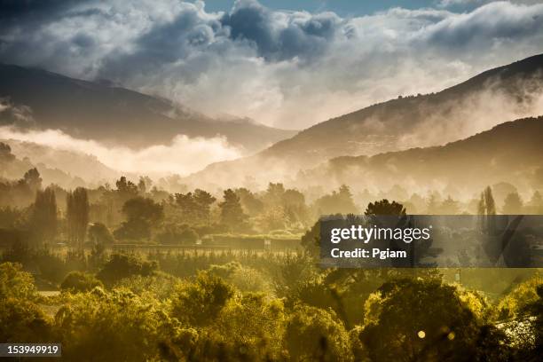 usa, california, big sur, coastline and valley - monterrey stock pictures, royalty-free photos & images