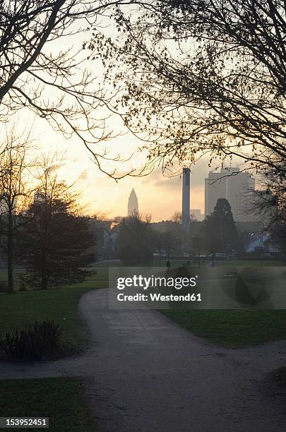 germany, frankfurt, view of park with messeturm in background - messeturm stock-fotos und bilder