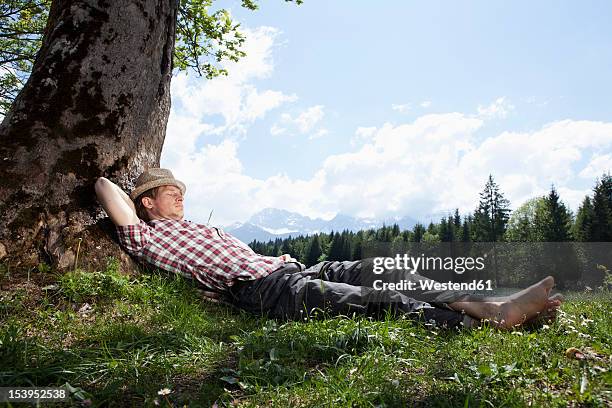 germany, bavaria, mid adult man lying on grass under tree - hände hinter dem kopf stock-fotos und bilder