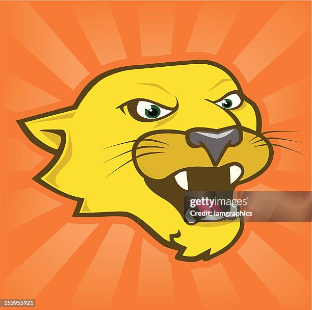 cougar with background - panther face stock illustrations