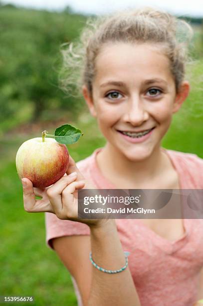 girl holding an apple in an orchard - 12 13 years old girls stock-fotos und bilder