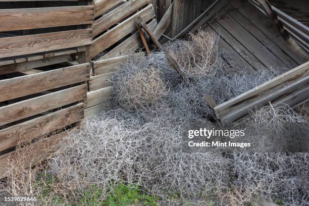 Rotting Box 36 Idle Pallet Storage Stock Photos, High-Res Pictures, and Images ...