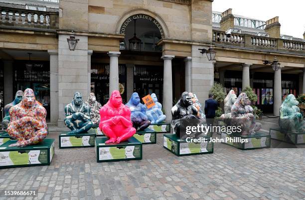 General view at the launch of the Tusk Gorilla Trail at Covent Garden on July 13, 2023 in London, England. The Tusk Gorilla Trail is an immersive art...