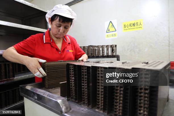 Worker produces high-voltage silicon stack devices at a semiconductor device manufacturing enterprise in Yangxin county, Binzhou city, East China's...