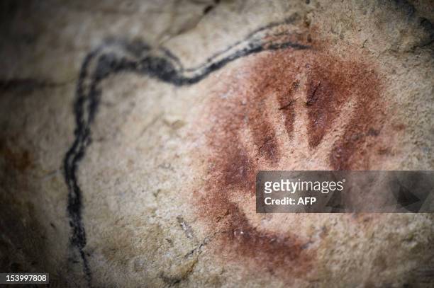 Picture taken on October 12, 2012 in Vallon-Pont-d'Arc of a prototype of painting of the facsimile of the Chauvet cave, which contains some of the...