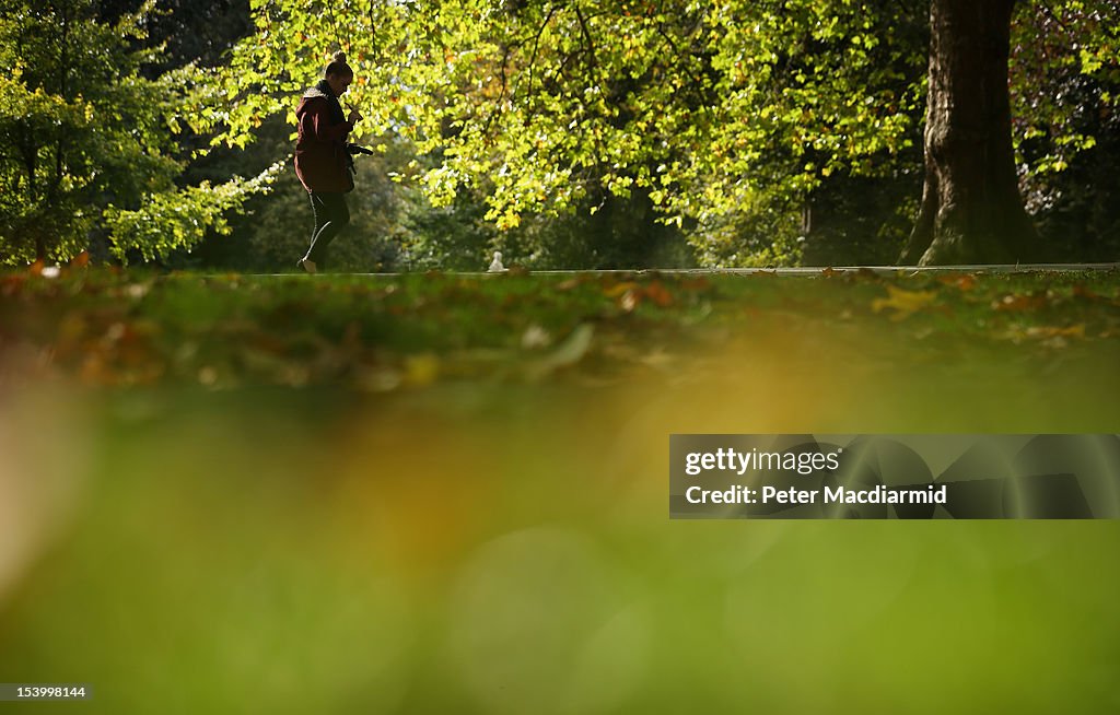 Autumn Colours Start To Show In London