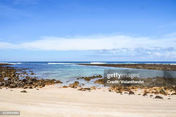 sunny day in the sea lion beach - puerto barqueriz - san cristobal - fotografias e filmes do acervo