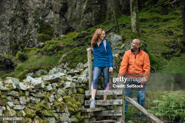 climbing over the stile - stile stock pictures, royalty-free photos & images