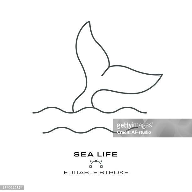 ilustrações de stock, clip art, desenhos animados e ícones de sea life - environmental conservation - editable stroke - tail