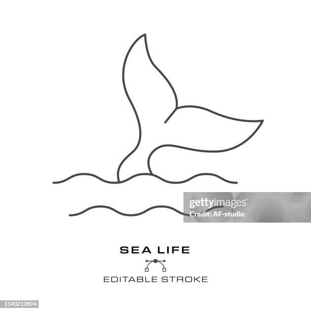 bildbanksillustrationer, clip art samt tecknat material och ikoner med sea life - environmental conservation - editable stroke - tail fin