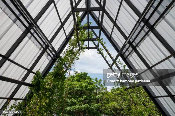 sunlight streaming through translucent roof - tin roof stock pictures, royalty-free photos & images