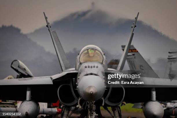 An F/A-18 Hornet fighter jet prepares to take off during the bi-annual Marine Aviation Support Activity 23 at the airport of a former US naval base...
