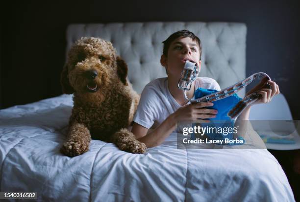 young boy with autism playing in bed with golden doodle dog - service animals stock pictures, royalty-free photos & images