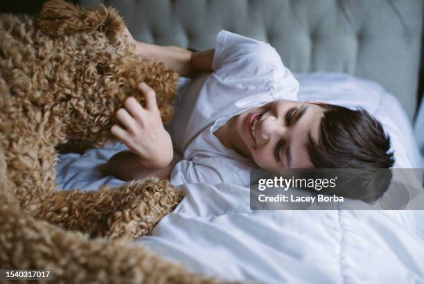 young boy with autism playing in bed with golden doodle dog - service animal stock pictures, royalty-free photos & images