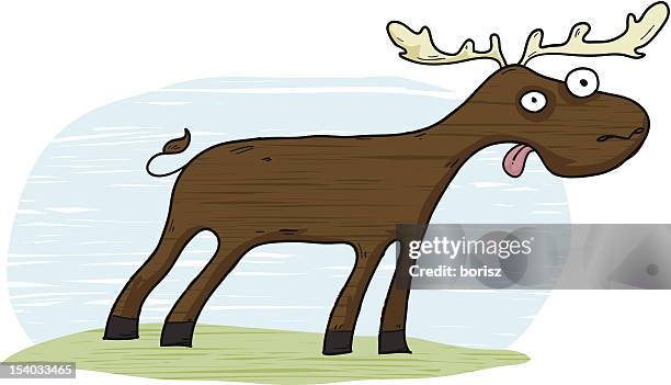 dumb moose - moose stock illustrations