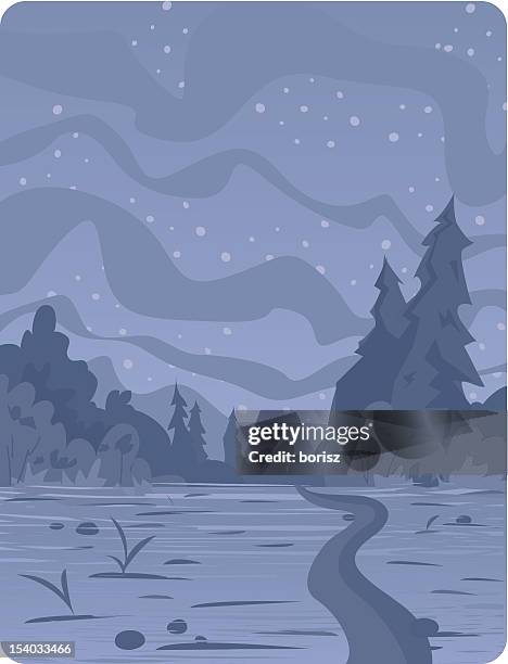forest at night. - forest path stock illustrations