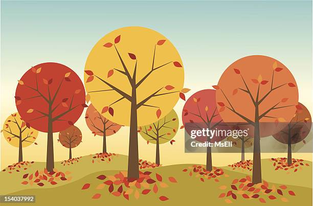 illustrazioni stock, clip art, cartoni animati e icone di tendenza di foresta d'autunno - albero spoglio