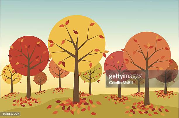 stockillustraties, clipart, cartoons en iconen met illustration of a forest in autumn with leaves falling - kale boom