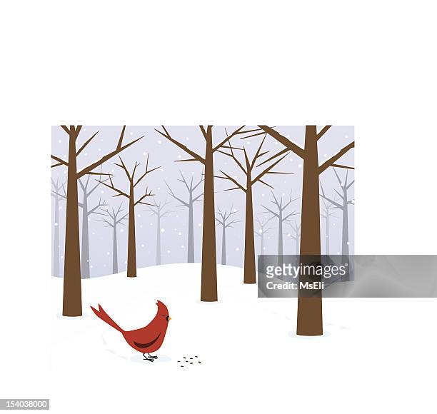 ilustrações de stock, clip art, desenhos animados e ícones de cardeal em uma floresta de inverno - blue cardinal bird