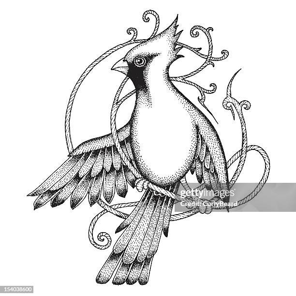 cardinal bird - cardinal flying stock illustrations
