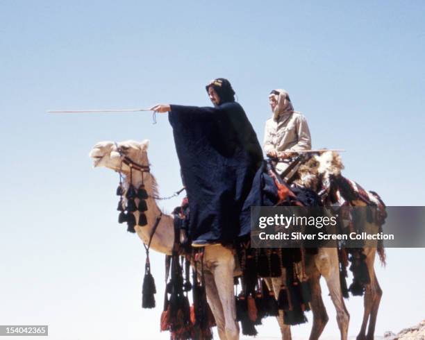 English actor Peter O'Toole as British Army officer T E Lawrence, riding a camel next to actor Omar Sharif in 'Lawrence Of Arabia', directed by David...