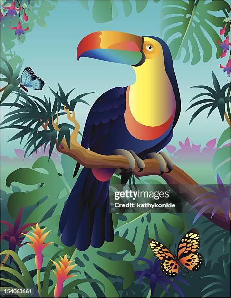 bildbanksillustrationer, clip art samt tecknat material och ikoner med toucan in the rainforest - amazonasregionen