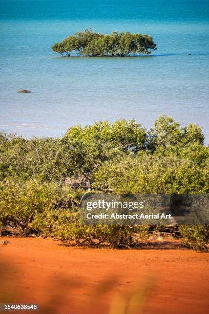 mangrove trees on simpson beach and in the indian ocean photographed from a high angle perspective, broome, western australia, australia - the kimberley stock pictures, royalty-free photos & images