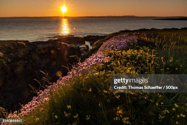 scenic view of sea against sky during sunset - insel irland - fotografias e filmes do acervo