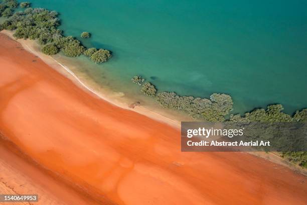 mangrove trees running alongside simpson beach shot from a high angle perspective, broome, western australia, australia - océan indien photos et images de collection