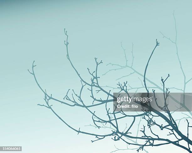 stockillustraties, clipart, cartoons en iconen met blue branches - kale boom