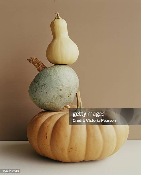 a pumpkin and two gourds. - gourd bildbanksfoton och bilder