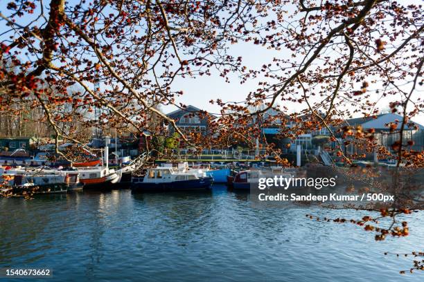 view of boats moored in river,twickenham,united kingdom,uk - richmond stock pictures, royalty-free photos & images