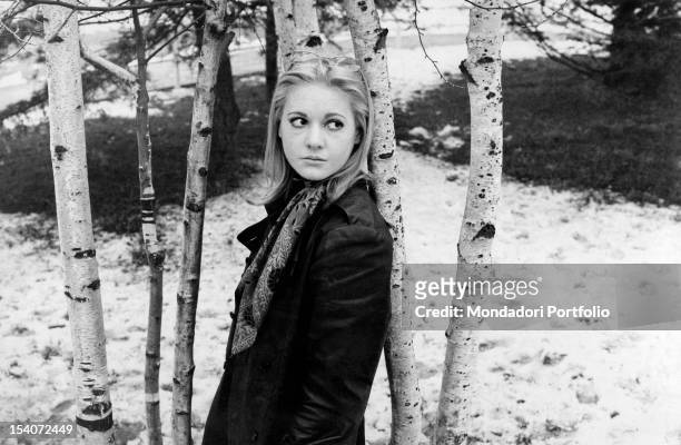 The Italian singer Anna Identici leaning on a tree. 1969