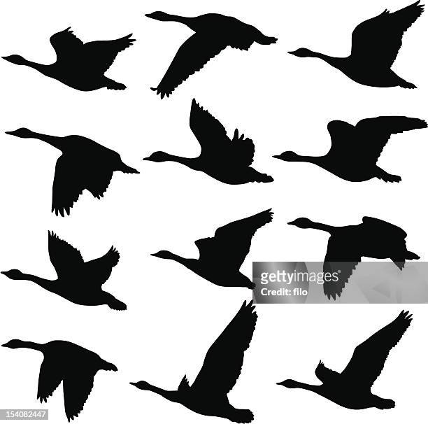 fliegende gänse silhouetten - goose stock-grafiken, -clipart, -cartoons und -symbole