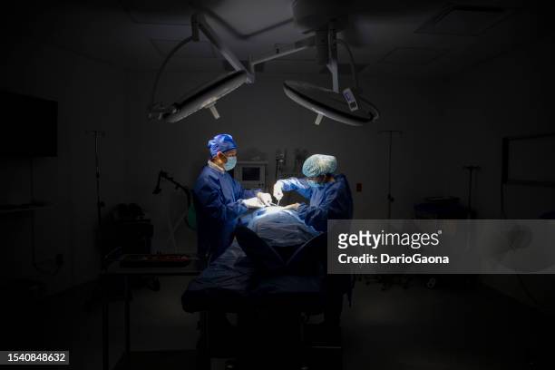 doctors in surgery in the operating room - cirugía stock pictures, royalty-free photos & images