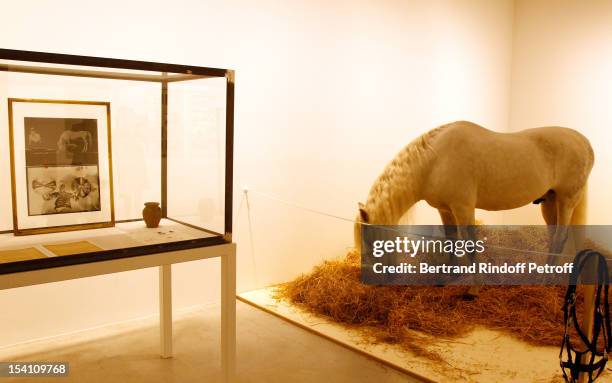 Horse, which is part of a piece by artist Joseph Beuys, is seen at the exhibition "Iphigenie", during the opening of Thaddaeus Ropac's new gallery on...