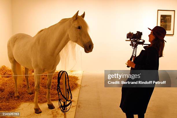 Camerawoman takes a video of a horse, which is part of a piece by artist Joseph Beuys, at the exhibition "Iphigenie", during the opening of Thaddaeus...