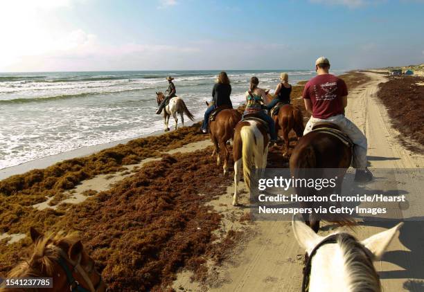 Ray Maddox, a horseman with Horses on the Beach, left, tells riders to try and avoid seaweed because the trash left behind can hurt the horses during...