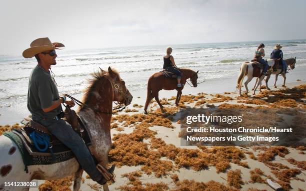 Ray Maddox, a horseman with Horses on the Beach, left, tells riders about birds, horses and beach life during a morning stroll on the beach, Friday,...