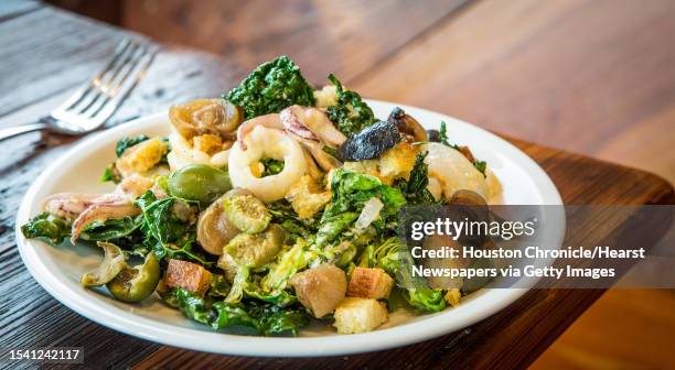 Coltivare Pizza & Garden's sautéed calamari, laminate kale, olives, cipolini, presserved lemon aoli and croutons, photographed, Friday, July 18 in...