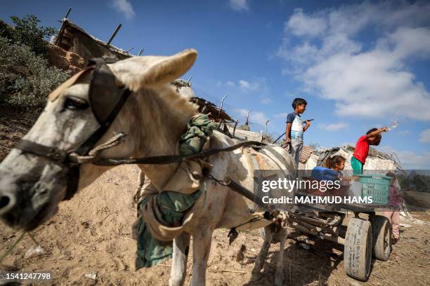 Girl standing on a donkey-drawn cart rinses her head with water from a bottle fresh from a cooler at a Bedouin village near Beit Lahia in the...