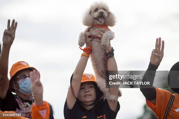 Move Forward Party supporter holds up a dog during a protest at Democracy Monument following the suspension of party leader and prime ministerial...