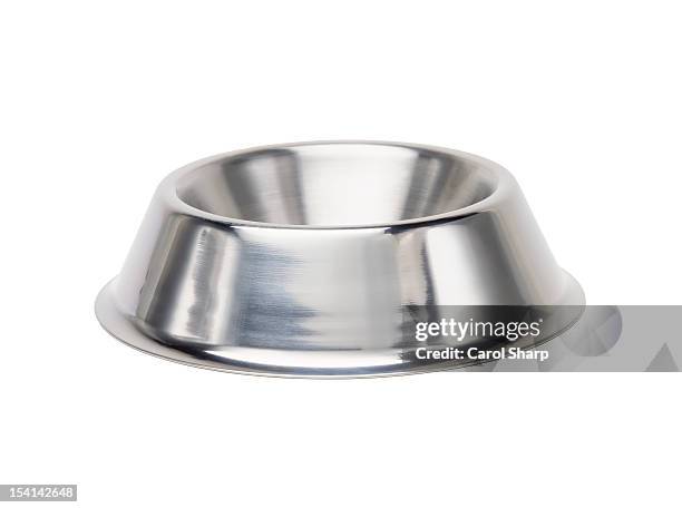 shiny metal dog bowl - dog bowl stock pictures, royalty-free photos & images
